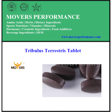 Top Quality Pure Hot Tribulus Terrestris Tablet